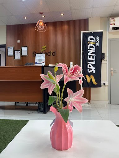 Photo from customer review